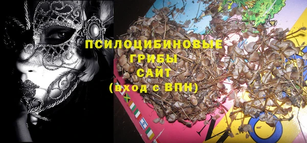 шишки Алексин