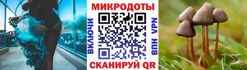 Галлюциногенные грибы Psilocybine cubensis  Подольск 